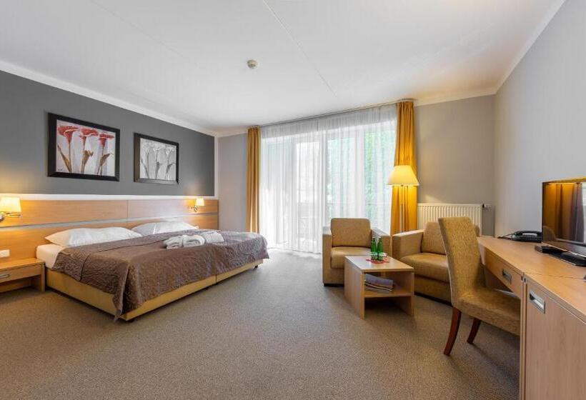 Номер Стандарт с Балконом, Kurhotel Brussel