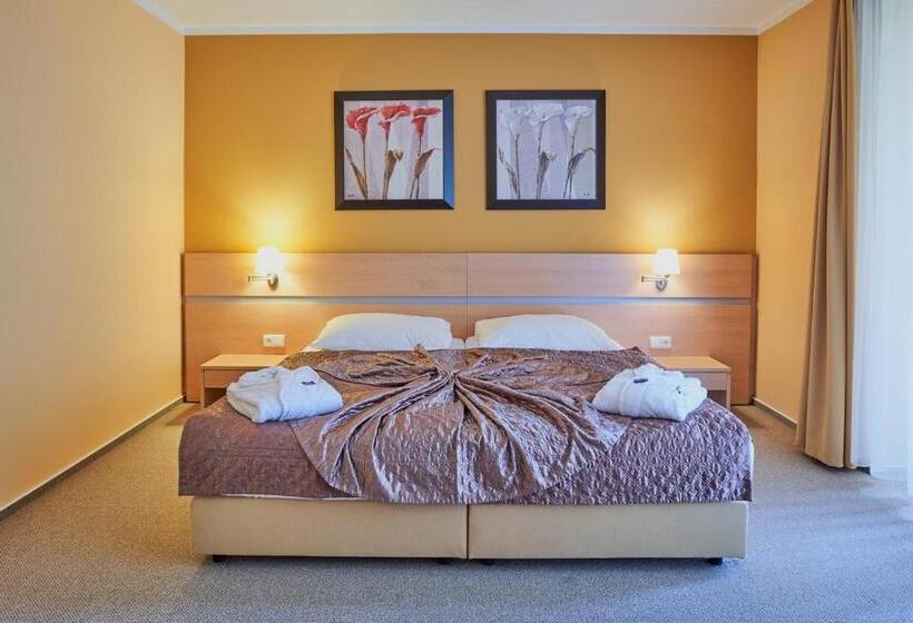 Номер Стандарт с Балконом, Kurhotel Brussel