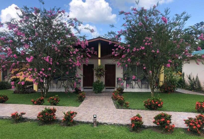 Четырехместный Номер Стандарт, Villas Vilma