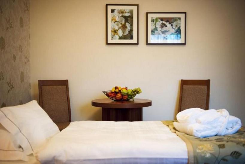 스탠다드 룸, Wellness Hotel Spark