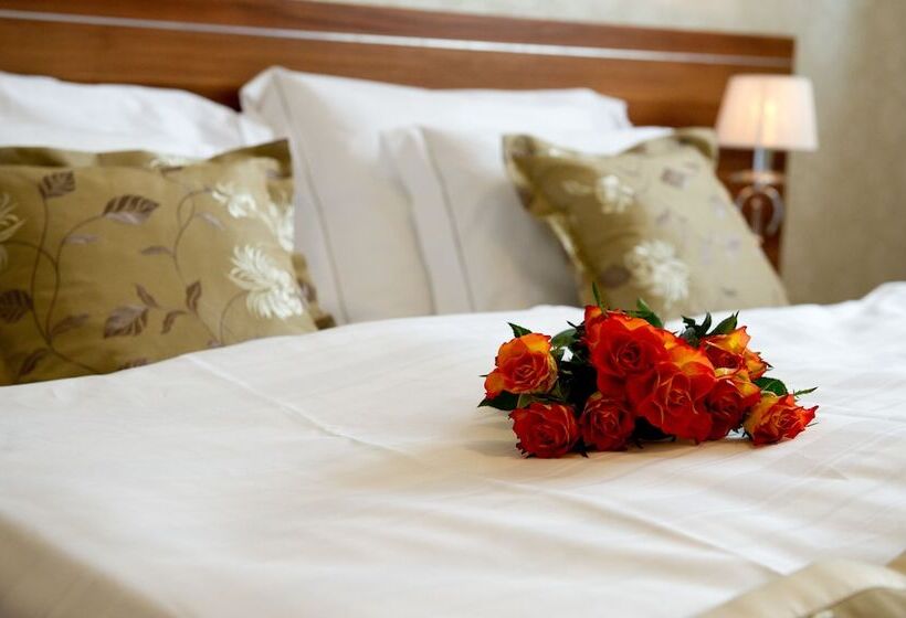 스탠다드 룸, Wellness Hotel Spark