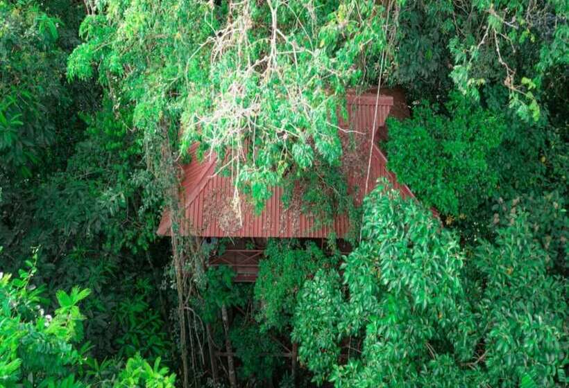 1间卧室的房子, Maquenque Ecolodge