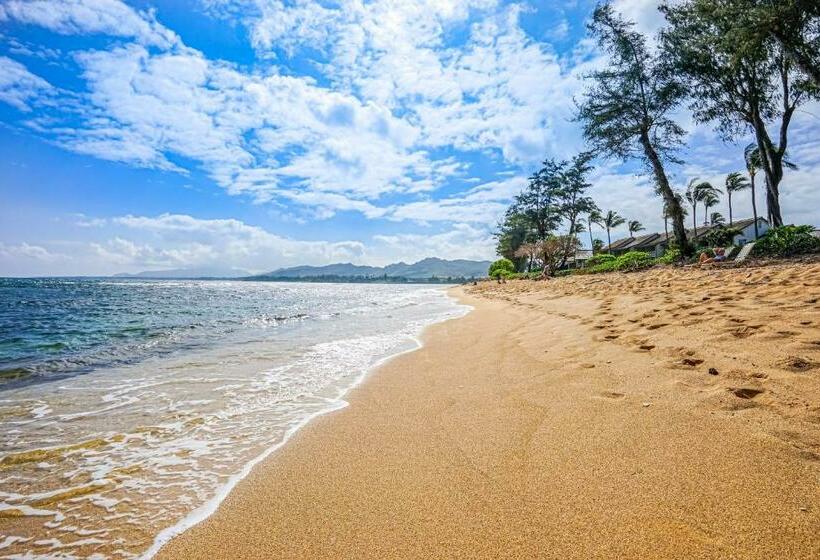 스탠다드 스튜디오, Islander On The Beach 250