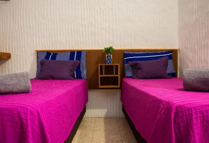 이코노미 룸, Ecohoteltdf