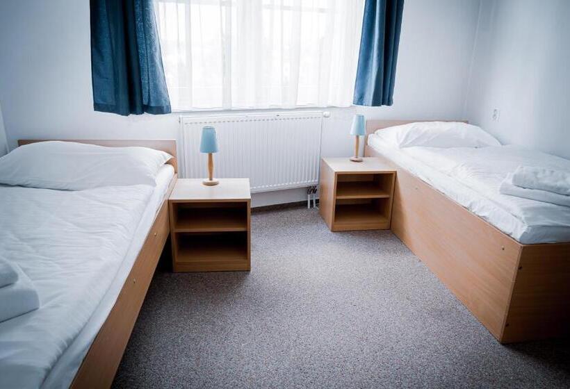 اتاق استاندارد برای معلولان, Arena