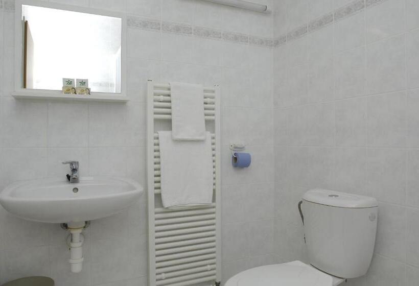 اتاق استاندارد, Arena