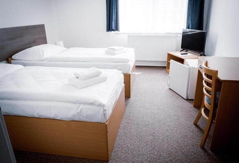 اتاق استاندارد, Arena