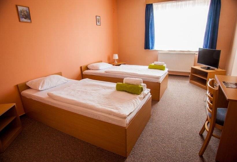 اتاق استاندارد, Arena