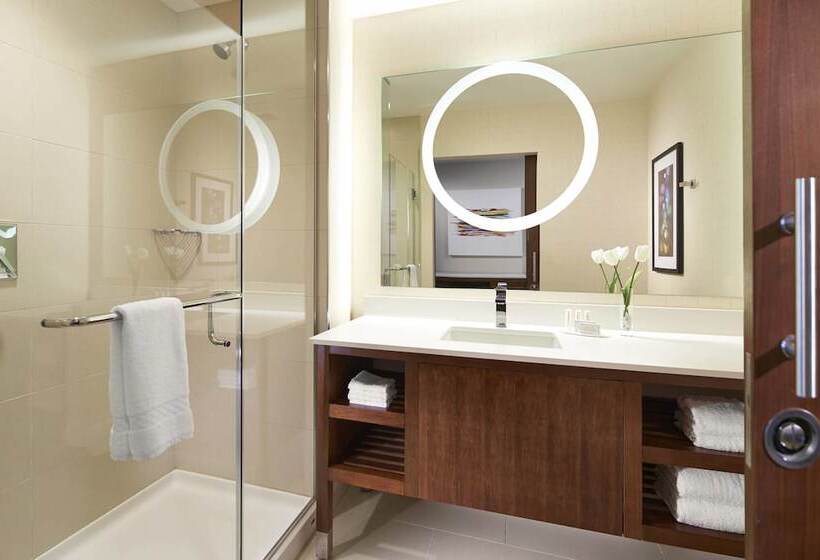 Люкс, Springhill Suites By Marriott At Anaheim Resort Area/convention Center