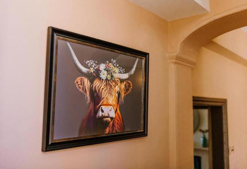 חדר דלוקס, The Bull
