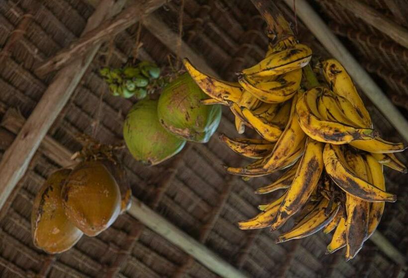 بانگلوی استاندارد, Afriican Village Zanzibar