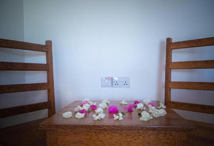 بانگلوی استاندارد, Afriican Village Zanzibar