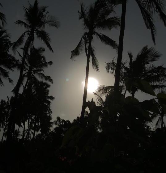 بانگلوی استاندارد, Afriican Village Zanzibar