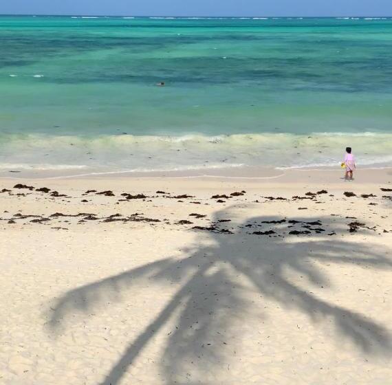بانگلوی استاندارد, Afriican Village Zanzibar