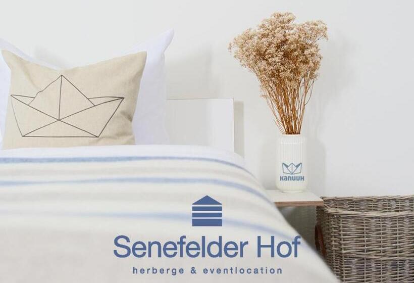 Номер Стандарт Индивидуальный, Senefelder Hof