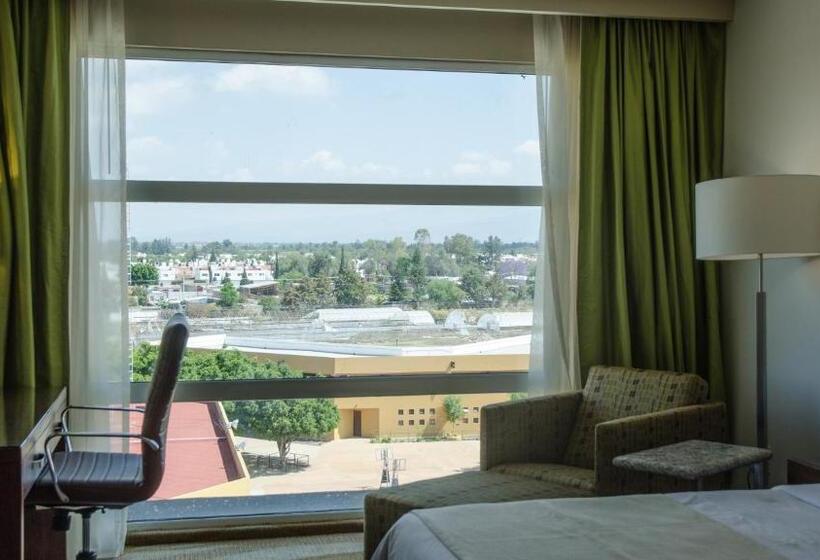 キッチン付きスタンダードルーム, Holiday Inn Express And Suites Celaya, An Ihg