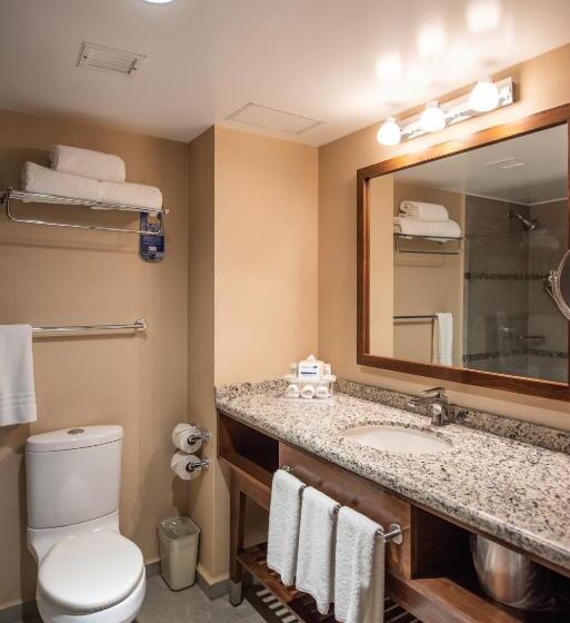 キッチン付きスタンダードルーム, Holiday Inn Express And Suites Celaya, An Ihg