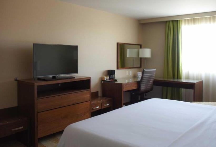 スタンダードルーム, Holiday Inn Express And Suites Celaya, An Ihg