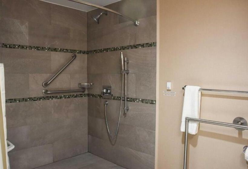 身障者適用キングサイズベッドルーム, Holiday Inn Express And Suites Celaya, An Ihg