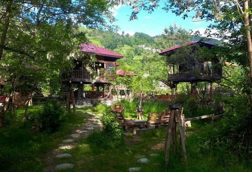 اتاق استاندارد چهار تخته, Zeni De Vore Serender & House