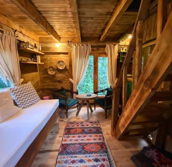 اتاق استاندارد سه نفره, Zeni De Vore Serender & House