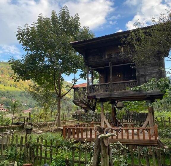 اتاق استاندارد سه نفره, Zeni De Vore Serender & House
