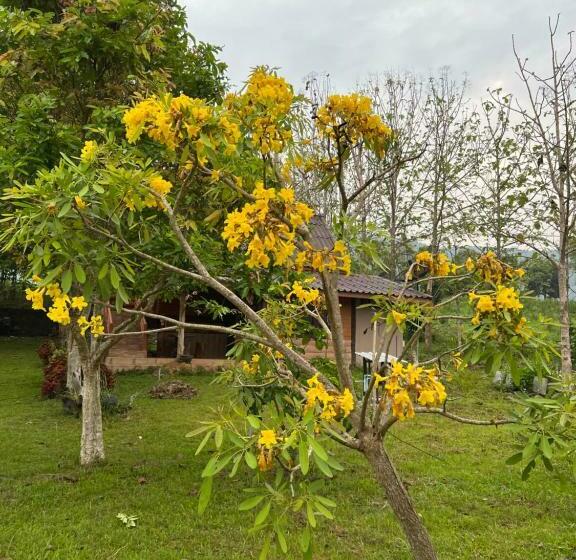 اتاق استاندارد برای معلولان, ไร่นุชชม รีสอร์ทเขาค้อ