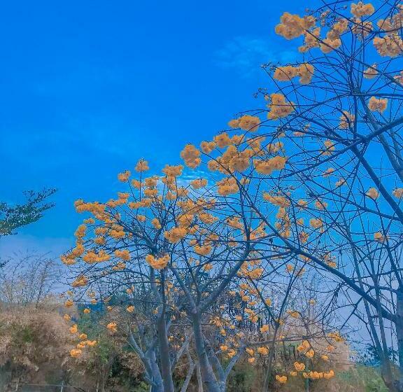 四人标准间, Baan Rai Pray Rung Kaeng Krachan