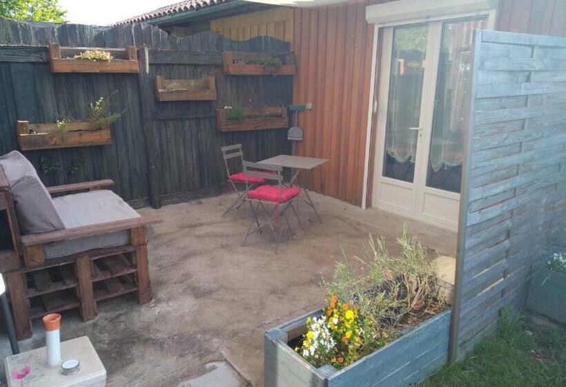Номер Стандарт, Perigordchambre