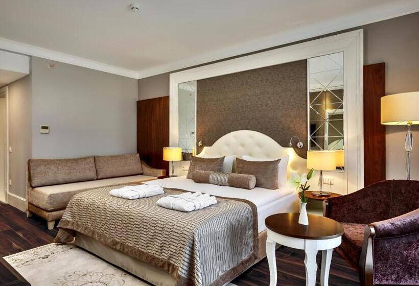 스탠다드 룸 바다 전망, Sunis Efes Royal Palace Resort & Spa