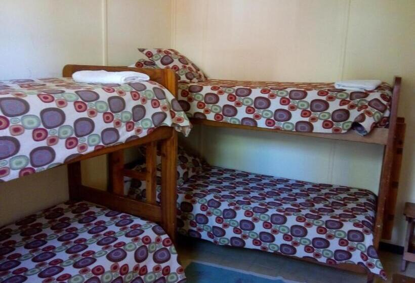 Четырехместный Номер Стандарт, Hostel Los Pioneros