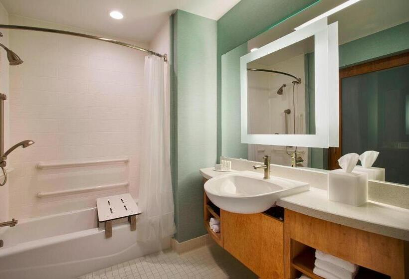 带大床的标准工作室, Springhill Suites By Marriott Houston Downtown/convention Center