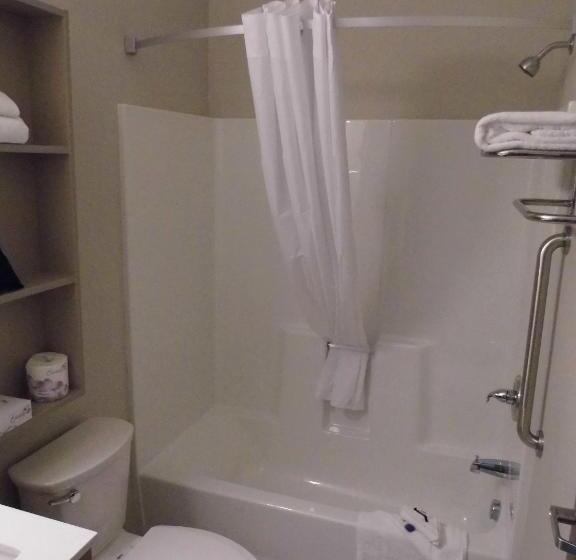 Номер Стандарт, Microtel Inn & Suites By Wyndham Vernal/naples