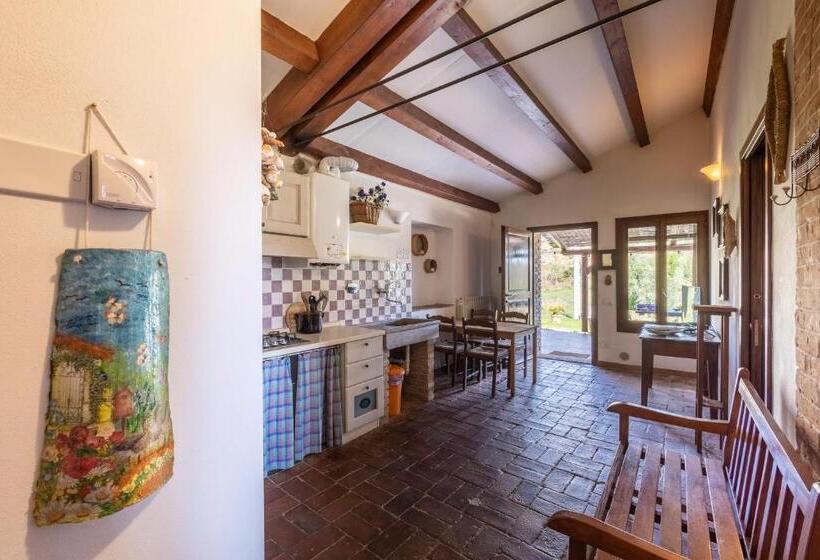 Апартаменты 1 Спальня Нижний Этаж, Agriturismo Podere Binacco