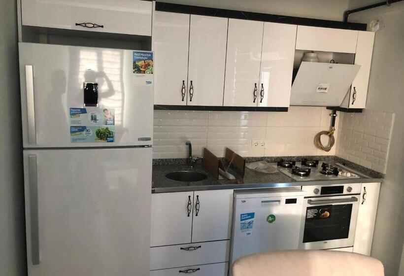 Апартаменты 1 Спальня с Балконом, Karakoçan Apart Otel