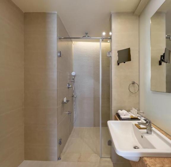 디럭스 룸, Radisson Salem