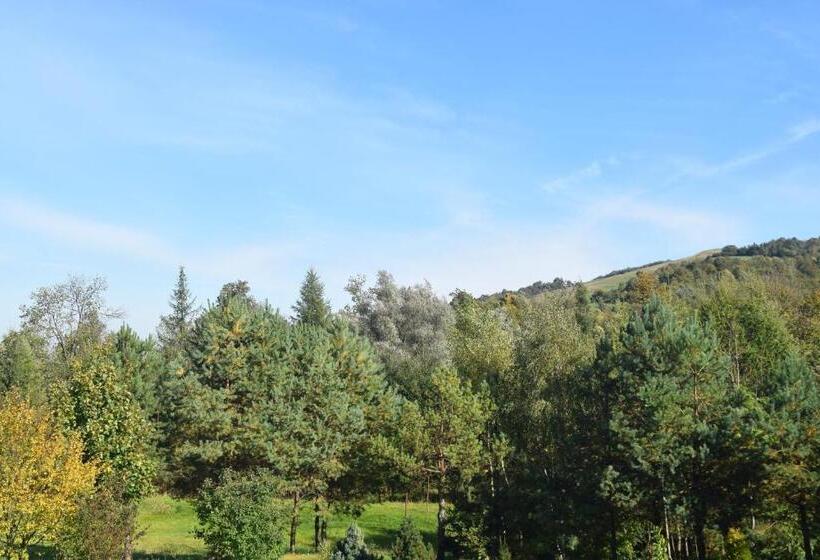 Шале 1 Спальня, Apartamenty Pod Werchowyną