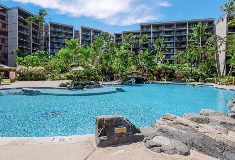 Студия Стандарт, Kaanapali Shores 732