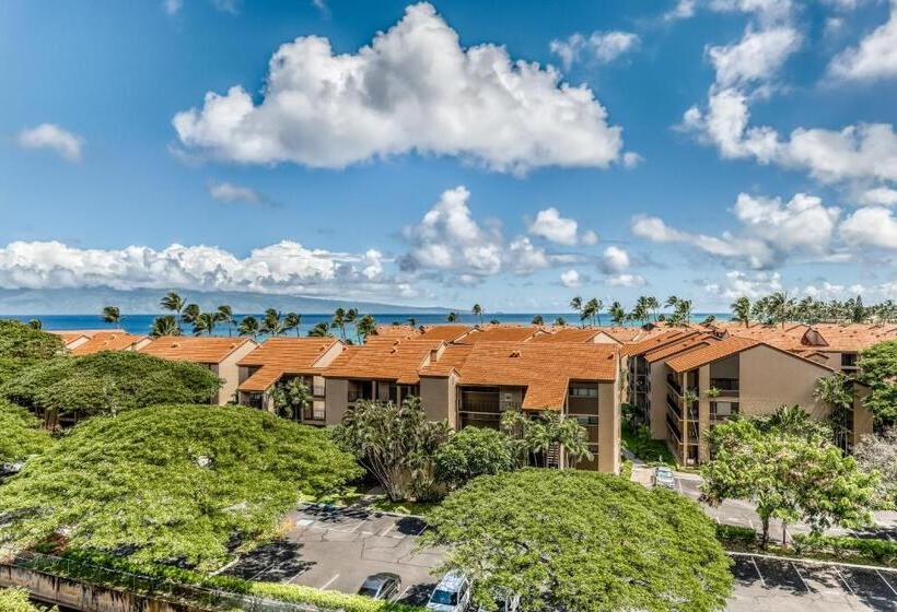 Студия Стандарт, Kaanapali Shores 732