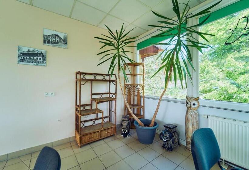 Номер Стандарт, Marel Apartments U Sowy  Sauna Polanica Zdrój