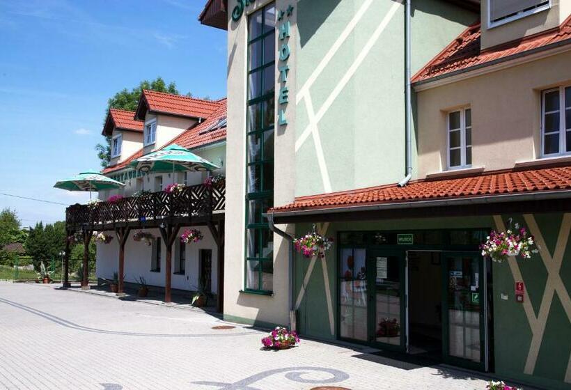 Номер Стандарт Индивидуальный, Centrum Restauracyjno Hotelowe Florres