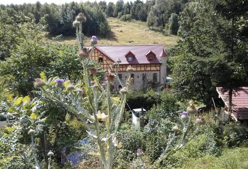 Четырехместный Номер Стандарт, Zbójna Debra