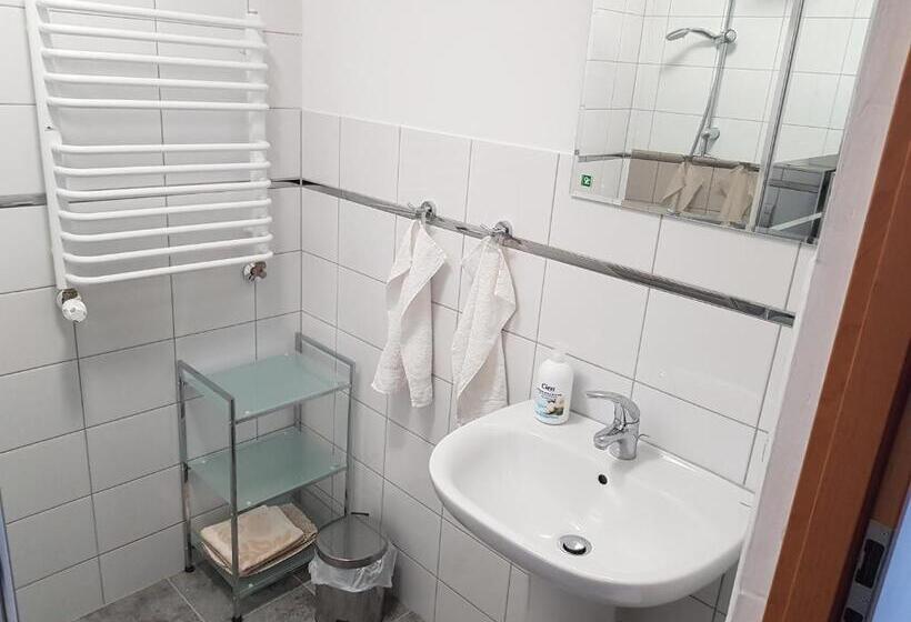 Апартаменты Deluxe 1 Спальня, Gościniec Słoneczny
