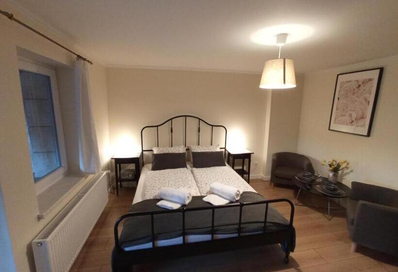 آپارتمان لوکس 1 خوابه, Dom Na Klonowym Wzgórzu