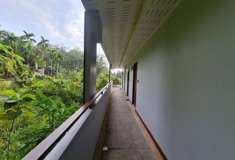 اتاق سوپریور با چشم‌انداز استخر, Diana Pool Access Phuket