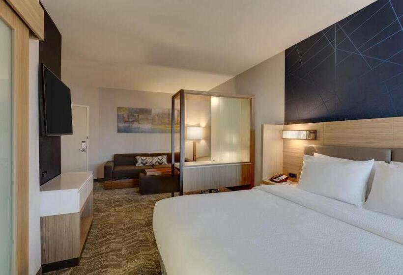 Standard Szoba King Size Bed, Springhill Suites By Marriott Cheraw