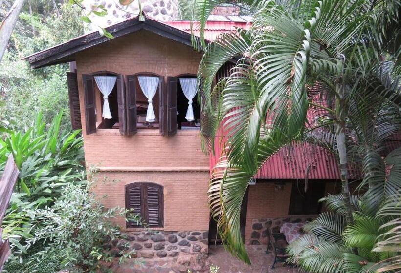 Номер Economy, Little Eden Guesthouse