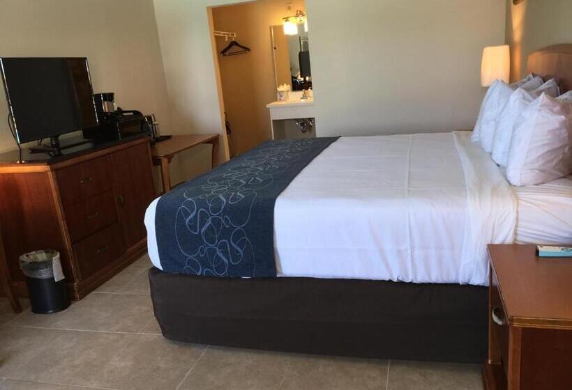 غرفة ديلوكس سرير كينج, Seasons Florida Resort