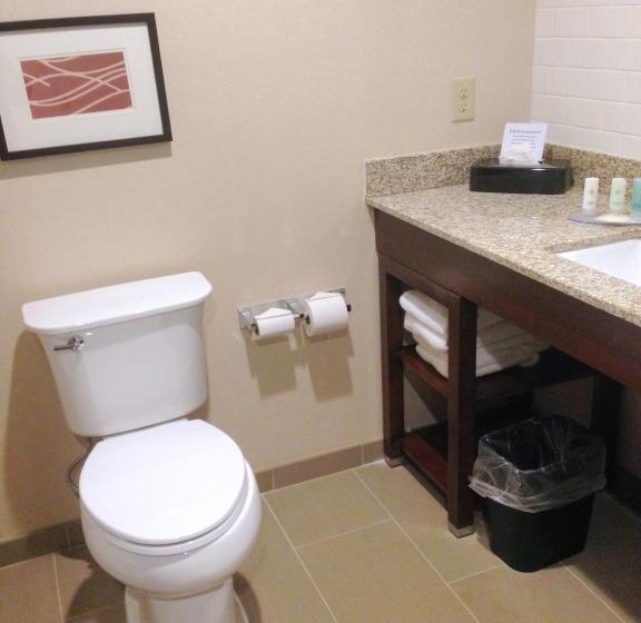 带大床的标准间, Comfort Inn & Suites Brattleboro I 91