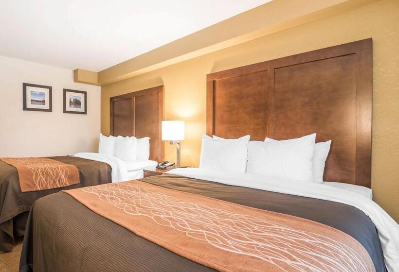 标准间, Comfort Inn & Suites Brattleboro I 91